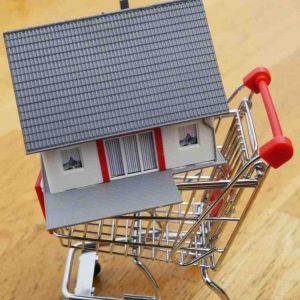 Bienes Raices
